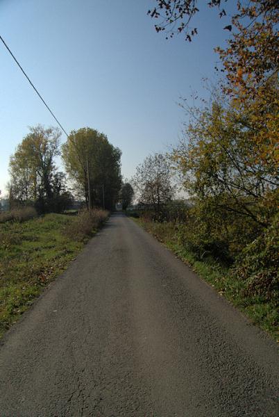 via-pandina